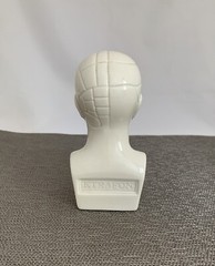 Antipsychotip Etrafon Porcelain Phrenology Bust Sculptor Edward Marshall Boehm