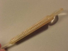 Vintage Averst Laboratories “Premarin” Drug Advertising Letter Opener Magnifier