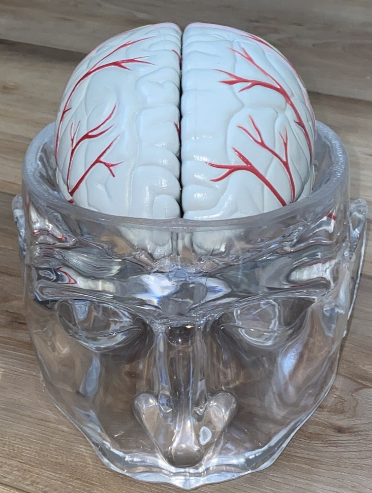 Seroquel Medical Pharmaceutical Pharma Design 4 Part Brain Display Schizophrenia