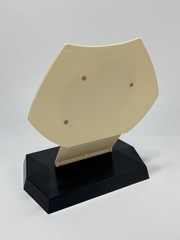 Vintage Naldecon Adult Ear Medical Model by Bristol Copyright 1978