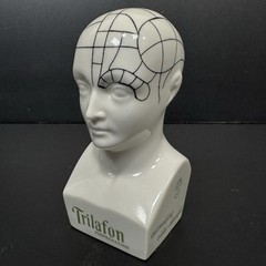 Schering TRIFALON Full-Range Tranquilizer Phrenology Head Ceramic Bust 1960s