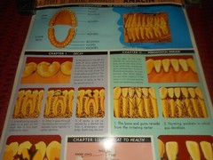 Vintage ANACIN Tablets WHITEHALL Laboratories ADVERTISING Dentist DENTAL POSTER
