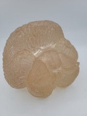 Vintage Lucite Acrylic Brain Cerebellum Model Medical Pharmaceutical Science