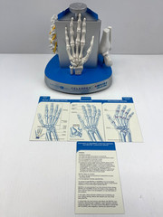 Pfizer Pharmaceutical Advertisement Celebrex Bextra Arthritis Display Model