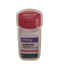 AMOXIL Die Cut Pharmaceutical Pharmacy Drug Rep Magnet 4″ x 2″