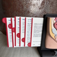 Vintage Viagra Detrol LA s Anatomy Model Pfizer Informational Pull Out Cards