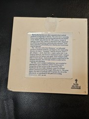 VTG Crown Delfts Handmade Holland The Pharmacist Award Pill Tile