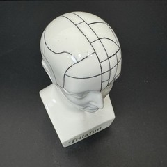 Schering TRIFALON Full-Range Tranquilizer Phrenology Head Ceramic Bust 1960s