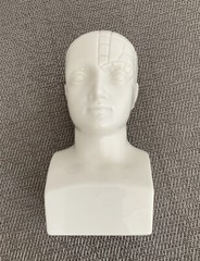 Antipsychotip Etrafon Porcelain Phrenology Bust Sculptor Edward Marshall Boehm