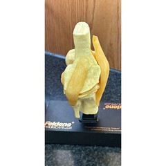 Vtg Feldene Piroxicam Knee Anatomical Pharmaceutical Model 1970’s Base 8″