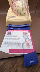 Xarelto Doc. heart display light up sound medical heart beat Pull tab info cards