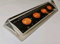 RENESE Pfizer Pharmaceutical Promo Vintage 1964 LUCITE Advertising Ruler