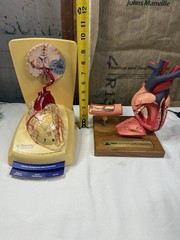 Pharmaceutical Drug Rep Doctors Office Heart Displays Xarelto