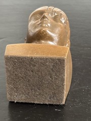 PHRENOLOGY HEAD-Medical Advertising-Promotional Statue BUST-Discontinued PAXIPAM