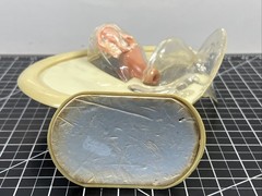 VTG 1950s Female Vaginal Medical Anatomy Model Ortho Pharmaceutical Raritan N.J.