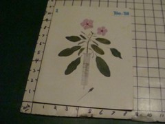 Vintage Original: TILE & TILL #1 vol 52 — march 1966 — eli lilly mag – spotty