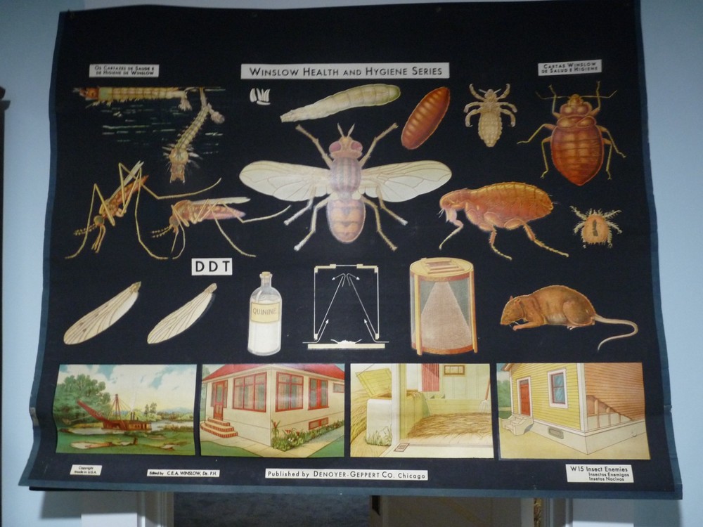 „INSECT ENEMIES“ 1930S PULL DOWN MEDICAL CHART , DENOYER GEPPERT 44X36