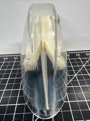 Vintage Librium Brain Anatomical Model Roche Laboratories Libritabs c1950s RARE