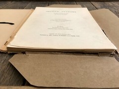 1930 Anatomical drawing Set Of 50 „Plates“ From The Art Guild Academy Of LA