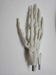 Pfizer Pharmaceutical Advertisement Celebrex Bextra Arthritis Display Model
