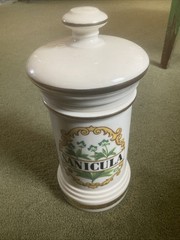 Vintage Sanicula Apothecary Porcelain Jar Pharmacy Botanical Canister