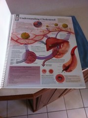 Drug rep 14″X11″ spiral bound Anatomic Charts