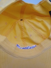 Rare Astra Zeneca Pharmaceutical Promo Hat One Size Adjustable Embroidered
