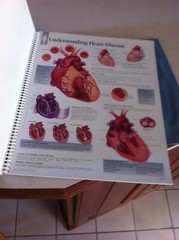 Drug rep 14″X11″ spiral bound Anatomic Charts