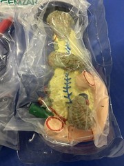 Gemzar Pancreas 3D Doctor’s Office Display