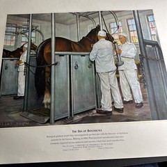 A HISTORY OF PHARMACY IN PICTURES 1954 PRINT Great Gift For Doctor 22″×18″