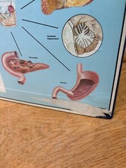 Vintage 1960s 1970s Drug Use Abuse Educational Teacher Display Board Poster Sign