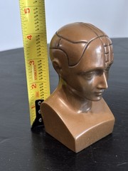 PHRENOLOGY HEAD-Medical Advertising-Promotional Statue BUST-Discontinued PAXIPAM
