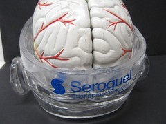 Seroquel Human Brain Anatomy Model w/ Clear Skull PharmaDesign Medical Display