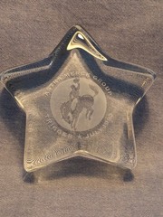 ASTRA/MERCK Drug Rep Crystal Glass Star Paper Weight „Trigger July 1993“