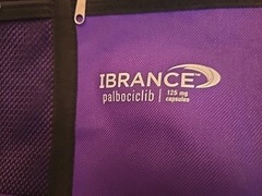 Genuity Concepts Ibrance Travel Accessory Kit Bag ONLY NEW