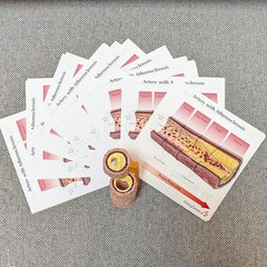 Drug Rep Promo AstraZeneca Cholesterol Artery Display Model w Educ. Flyers 2007