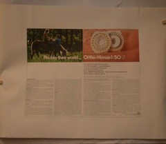 Lot of (2) Vintage “Their World” Ortho-Novum Birth Control Advertisement Poster
