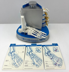 Pfizer Pharmaceutical Advertisement Celebrex Bextra Arthritis Display Model