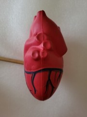 NORVASC Promo Foam Stress Reliever Heart