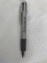 Rare Panlor SS Drug Rep Pharmaceutical Promo Advertising gray Pen blue red black