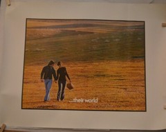 Lot of (2) Vintage “Their World” Ortho-Novum Birth Control Advertisement Poster
