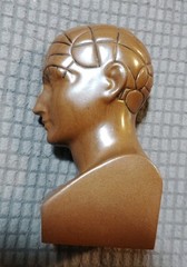 Vintage Paxipam Phrenology Bust, Medical Advertising Paperweight 4-3/8” x 2.4”