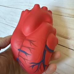 Pharmaceutical Drug Rep Norvasc Heart Stress Ball Collectible