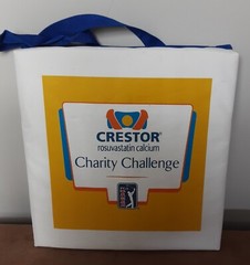 2004 Crestor Charity Challenge Golf Pharmaceutical Advertising Seat Cushion