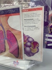 Biaxin Rare Vintage Pharmaceutical Drug Rep Merch New Respiratory System Display