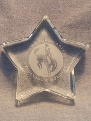 ASTRA/MERCK Drug Rep Crystal Glass Star Paper Weight „Trigger July 1993“