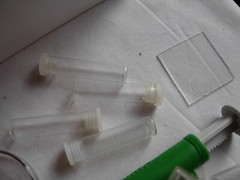 Collection interestesting scientific glassware dishes, slides, tubes
