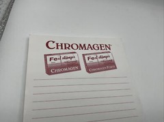 Chromagen Iron Tablets Drug Rep Note Pad ~ Lot Of 1 ~ Sticky Notes~b25