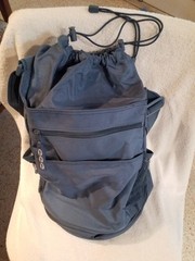 Pfizer Drug Rep RARE Blue Insulated Cooler Crossbody Tote Bag Beach Multipurpose