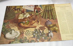 „A History of Pharmacy“ in Pictures Set of 19 Prints Park Davis 1950’s